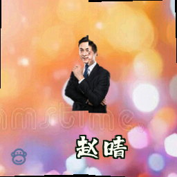 赵晴